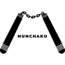 docs/source/_static/nunchaku.ico