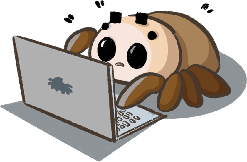 docs/source/sharings/images/nn_spider/working.png