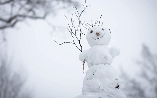 Cinemo/visuals/animations/snowman_waving_his_hand/snowman_waving_his_hand.gif