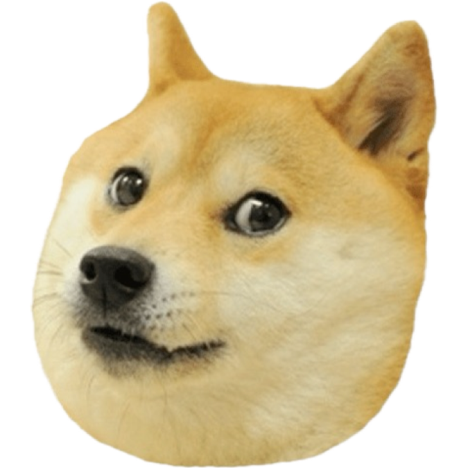 static/doge.png