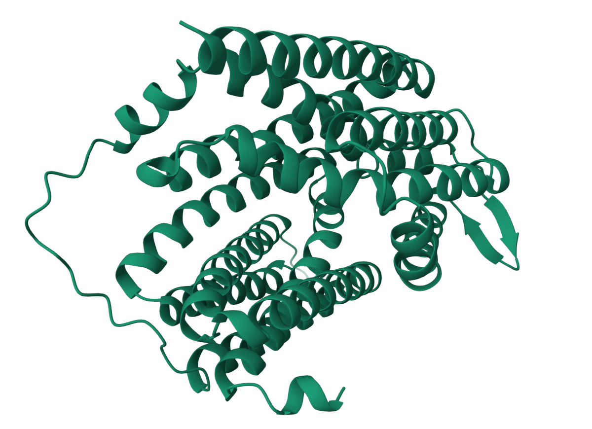 docs/result_pdb.png