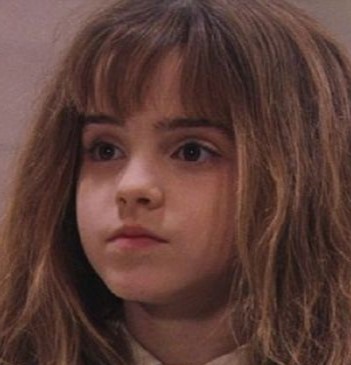 inputs/face/aligned/hermione .jpg