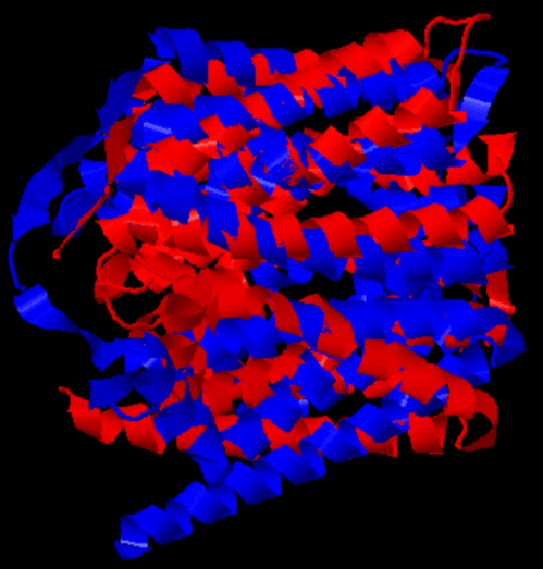 docs/result_pdb.png