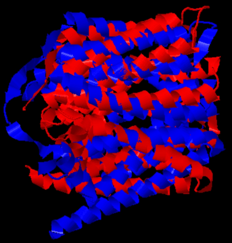 docs/result_pdb.png