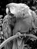 doc/Grayscale_8bits_palette_sample_image.png