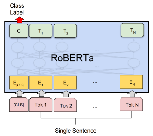 doc/RoBERTa.png