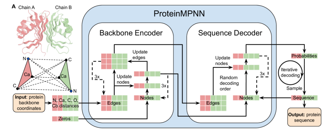 docs/proteinmpnn.png