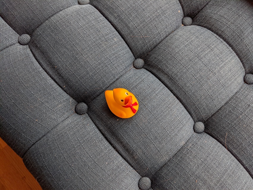 research/object_detection/test_images/ducky/train/robertducky3.jpg