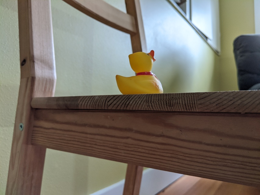research/object_detection/test_images/ducky/train/robertducky5.jpg