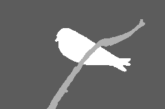 research/deeplab/evaluation/testdata/bird_gt.png