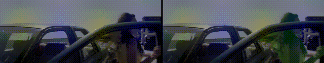 assets/videos/exp_1.gif