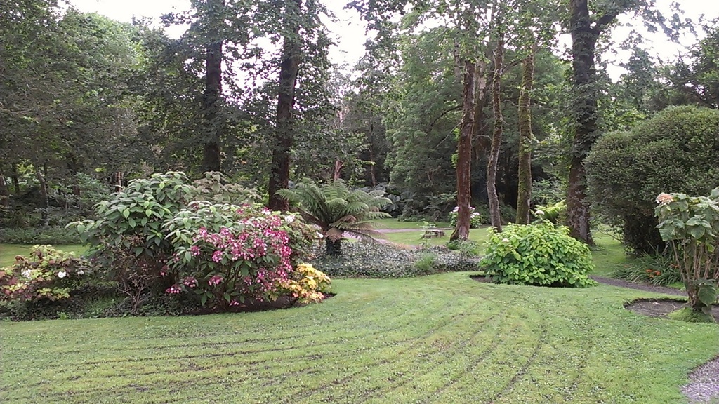 data/open_images_annotations_100/validation/0a08a4711c728078.jpg