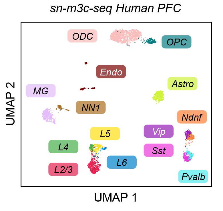 figs/PFC_embed.png