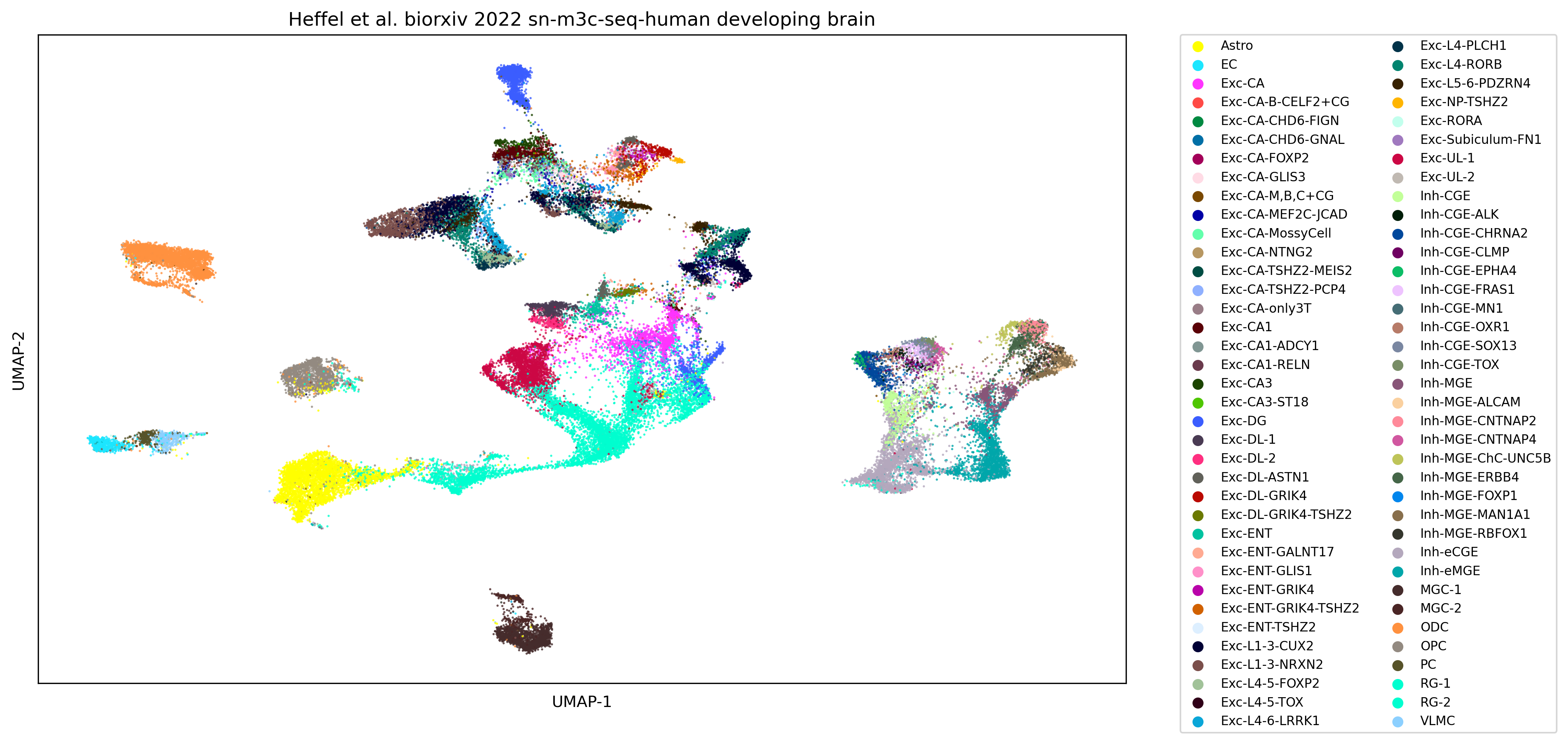 figs/gallery/devbrain_500.png