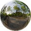 TRELLIS.2_DCU/assets/app/hdri_forest.png